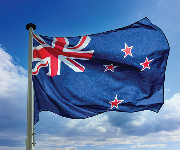 nz flag government